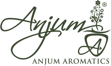 Anjum logo